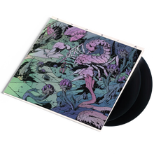 Load image into Gallery viewer, Aibohphobia Double Vinyl- 12” Black 180 Gram Double LP
